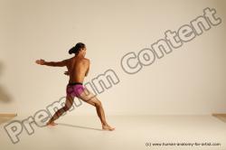 Elmer - Traditional Korean Art